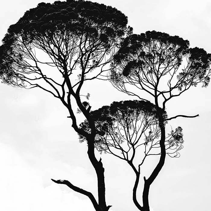 portfolio4.jpg