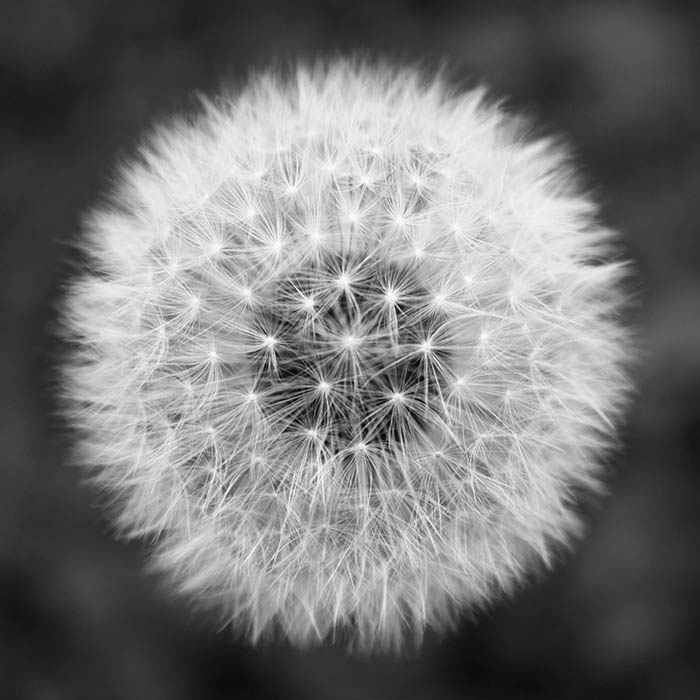 portfolio7.jpg
